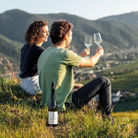Winzerhof & Gaestehaus Bernhard ヴァイセンキルヒェン・イン・デア・ヴァッハウ エクステリア 写真
