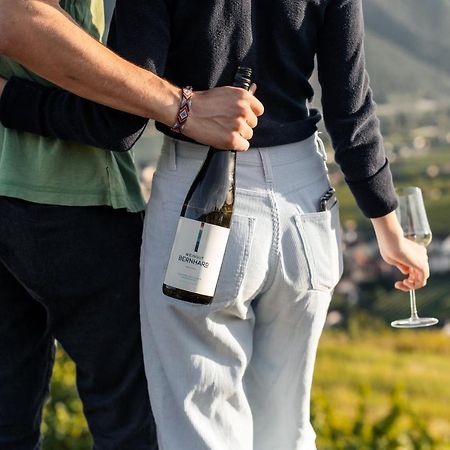 Winzerhof & Gaestehaus Bernhard ヴァイセンキルヒェン・イン・デア・ヴァッハウ エクステリア 写真