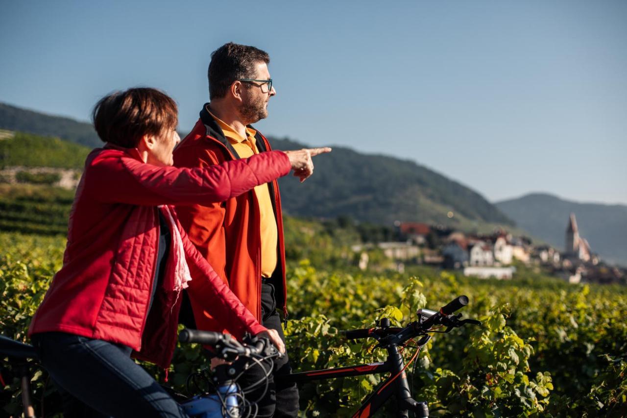 Winzerhof & Gaestehaus Bernhard ヴァイセンキルヒェン・イン・デア・ヴァッハウ エクステリア 写真