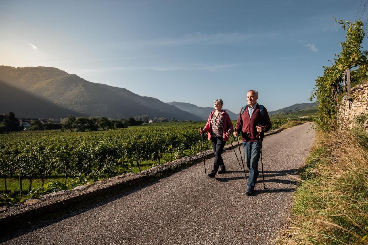 Winzerhof & Gaestehaus Bernhard ヴァイセンキルヒェン・イン・デア・ヴァッハウ エクステリア 写真