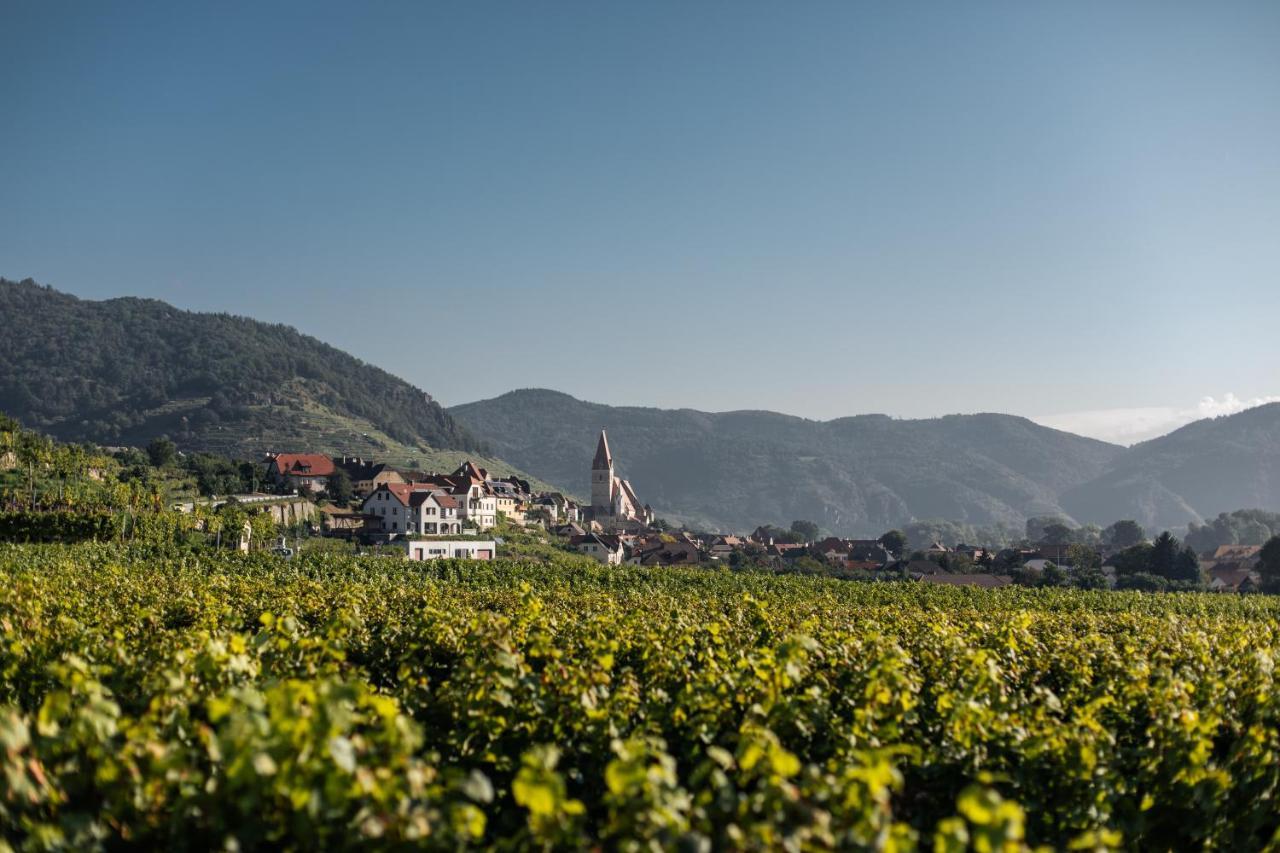 Winzerhof & Gaestehaus Bernhard ヴァイセンキルヒェン・イン・デア・ヴァッハウ エクステリア 写真