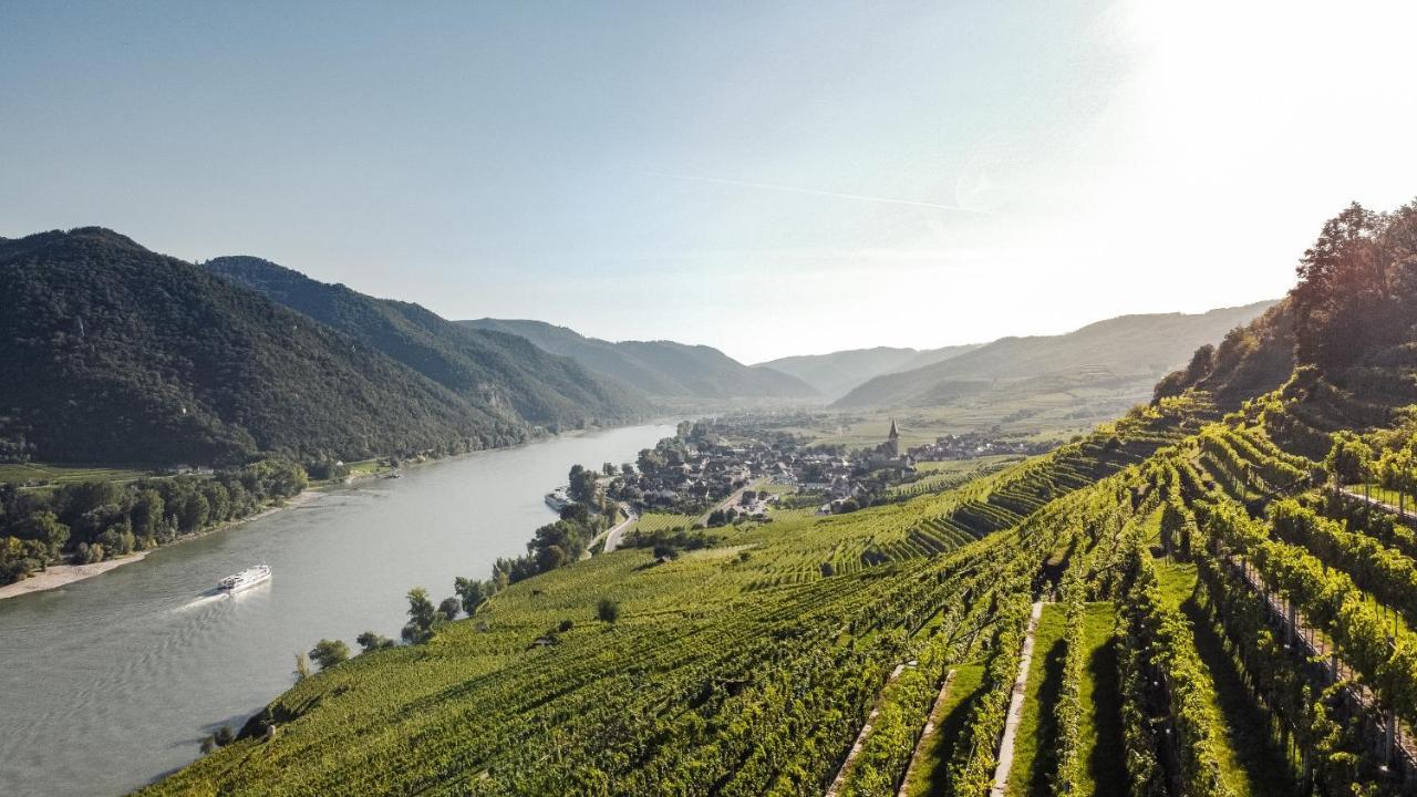 Winzerhof & Gaestehaus Bernhard ヴァイセンキルヒェン・イン・デア・ヴァッハウ エクステリア 写真