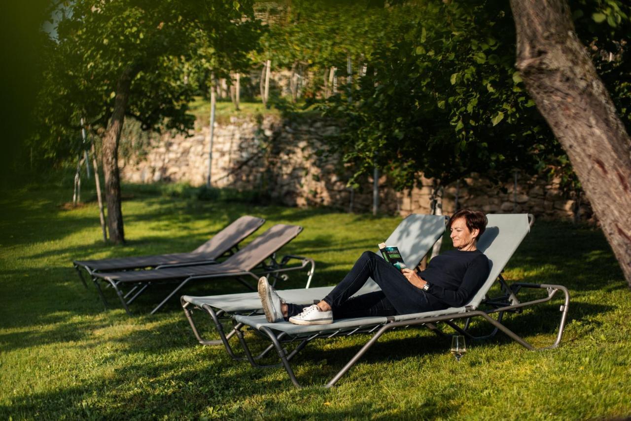 Winzerhof & Gaestehaus Bernhard ヴァイセンキルヒェン・イン・デア・ヴァッハウ エクステリア 写真
